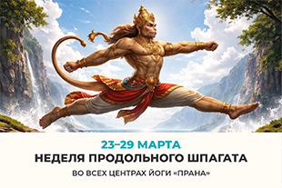 семинары по йоге - подробнее